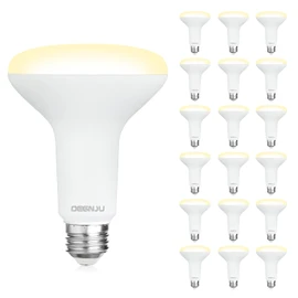 DEGNJU 18 Pack BR30 LED Recessed Light Bulb, Dimmable Indoor Flood Light Bulbs CRI80 7W Equivalent 65W 2700K Soft White 650 Lumens, 15000 Lifetime Hours E26 Base LED Can Light Bulb, Flicker-Free
