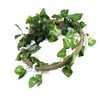 Reptile Climbing Branch Flexible Jungle 3.28ft Rattan 1Pc Vine(3.28ft Rattan+Scindapsus