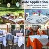 ALLTOP Superior Tablecloth Clips - Rust-Proof Stainless Steel Table Cover