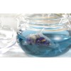 ocean-teabag Sea Tea Bags, Set of 10