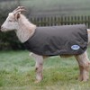 WeatherBeeta Goat Coat, Grey, Extra Large