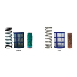 No More Green Technologies - Solar Pool Ionizer Cleaning Kit, Includes Spring and Basket Cleaner, Copper Ionizer for Pools, Easy Cleaner Kit Ionizer, Up to 24 Cleanings - Lifetime Replacement Warranty