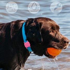 Geiomoo Silicone Case for Tile Mate 2024, 2022, 2020 Tracker, Finder Tag Protective Cover for Pet Collar (Luminous Green, Pink, Blue)