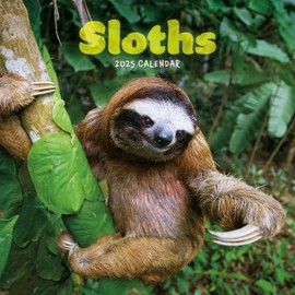 2025 Sloths Mini calendar: Plastic Free Packaging