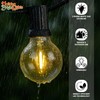 Holiday Bright Lights G40 LED Replacement Bulbs Warm White Dimmable