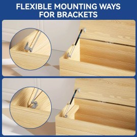 ARANA 20 inch 200 LB Gas Prop Struts Shocks with L Mounting Brackets, 20" 889 N Lift-S