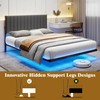 ARFARLY Floating Double Bed Frame with LED Lights and Charging