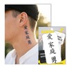 InkDance X205 Semi-Permanent Tattoos, Chinese Characters (Love, Family, Courage), Long-Lasting