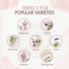 Orchid Plant Food (5 oz, 50+ Applications) - Bloom Booster