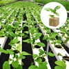 Nuyoah Rock Wool Cultivation Cubes Hydroponics Rockwool Cube Rockwool Cube