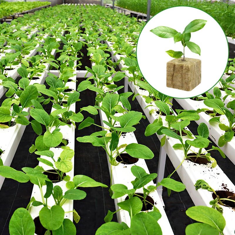 Nuyoah Rock Wool Cultivation Cubes Hydroponics Rockwool Cube Rockwool Cube