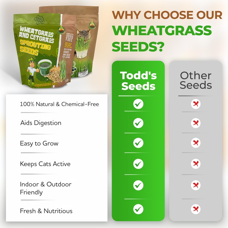 Todd's Seeds Wheatgrass Seeds; Hard Red Winter Wheat, Non-GMO, Chemical