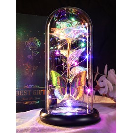 DEEMEI Birthday Gifts for Women Colorful Rose Eternal Flower Light Up Rose in Glass Dome with Butterfly,Christmas Thanksgiving Anniversary for Her Mom Girlfriend