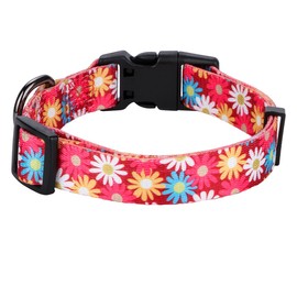Rhea Rose Girl Dog Collars Cute Pink Daisy Collar, Spring and Summer Flower for Medium Dogs