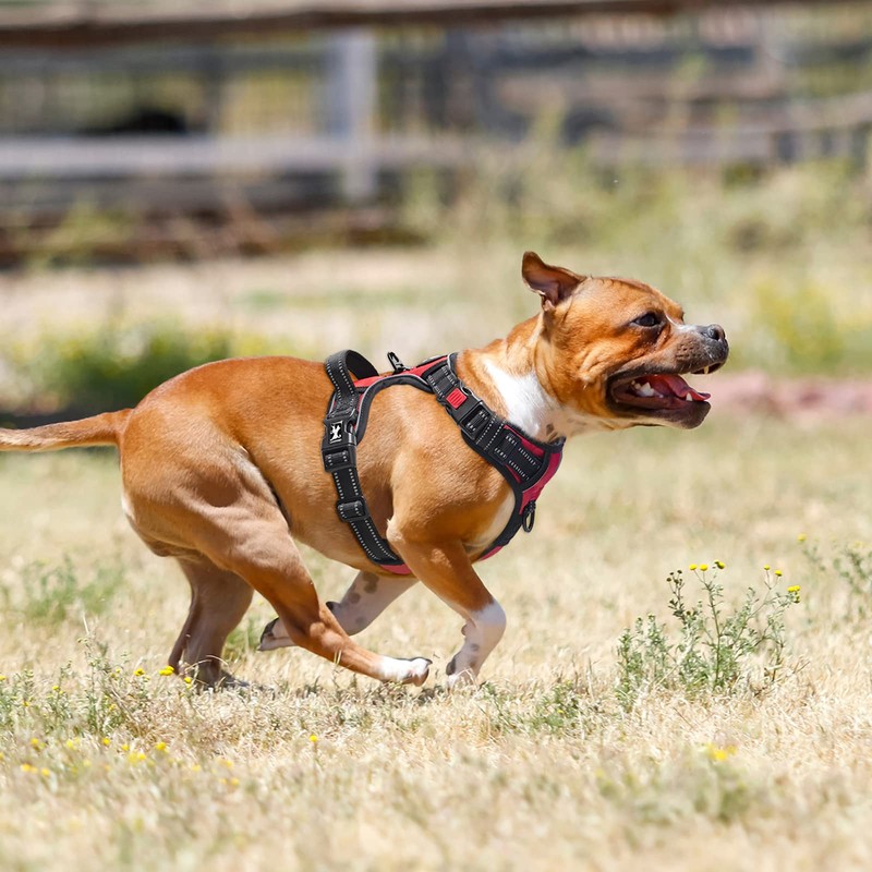 PoyPet No Pull Dog Harness, No Choke Front Clip Dog