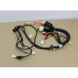 UNITED MOTORS Wire Harness Speedometer Wiring Loom MATRIX-II 150 & 170 Scooter