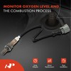 A-Premium - Sensor de oxígeno O2 compatible con Honda CR-V