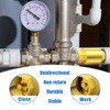1 Inch Check Valve - PN25 Internal Thread Brass Backflow
