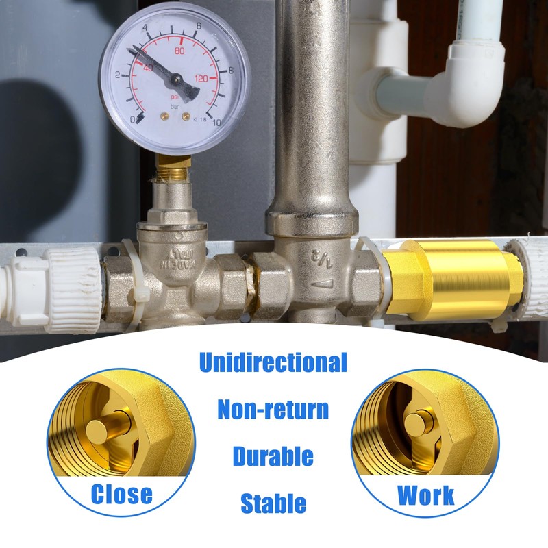 1 Inch Check Valve - PN25 Internal Thread Brass Backflow