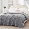 Sealy Electric Blanket Queen Size, Flannel Heated Blanket with 10