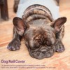 100PCS Pet Dog Soft PVC Nail Cover Paw Claw Cap