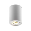 CGC Lighting Modern Ceiling Spotlight Cylinder Surface Mount Adjustable Tilt