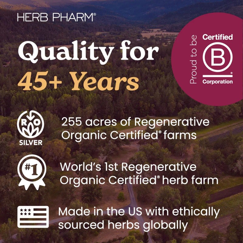 Herb Pharm Guayusa Cpsulas Nootrpicas Orgnicas 60 Veganas