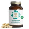Pure Synergy Enzyme Power Digestive & Gut Health 90 Capsules