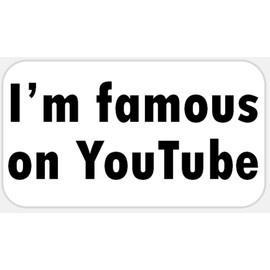 I'm Famous On YouTube - 25 Stickers Pack 2.25 x 1.25 inches - Internet Celebrity
