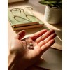 Micros Focus Mini Pack – Vegan, Sugar-Free Brain-Boosting Mints with
