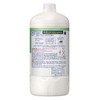Bioreu The Body (Large Capacity) Foam Type, Healing Botanical Scent,