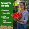 HOME GROWN San Marzano Tomato Seeds – 132 Heirloom, 𝗡𝗢𝗡-𝗚𝗠𝗢,