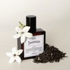 [DF7] Elegant and sensual swan, Absolute Jasmine Tea - Jasmine