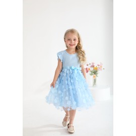 Sinhoon Toddler Girl Tulle Dress Summer Ruffle Sleeveless Baby Girl Fashion Casual Dresses(Blue,2T)