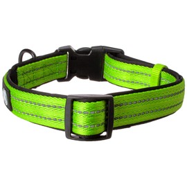 Alcott Flexi Explorer Adventure Pet Collar, Large, Green,CLR LG EX GR