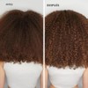 Paul Mitchell Acondicionador Color Protect, Previene la Decoloración + Añade