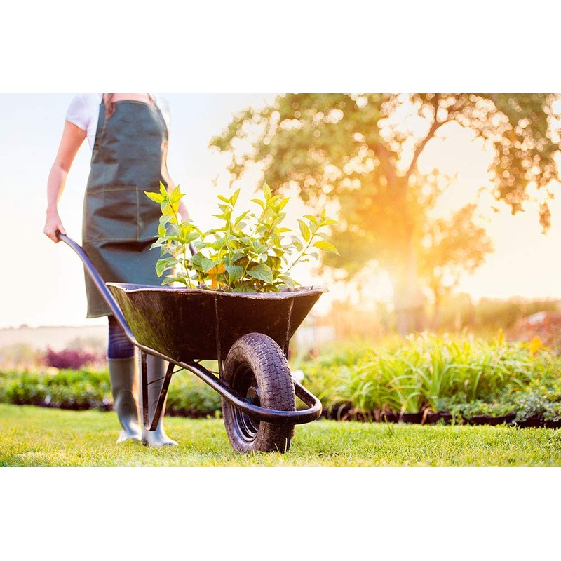 Universal Fit, Flat Free Wheelbarrow Tire and Wheel Assembly with