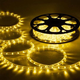 100ft LED Rope Lights Outdoor, 720 LED Connectable and Flexible Tube Lights with 8 Modes, Waterproof LED Rope Lighting for Garden, Patio, Pool, Bedroom, Party, Indoor Outdoor Decoration (Warm White)