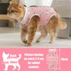 Surgery Recovery Suit for Cats, Anti Licking Cat Recovery Suit,