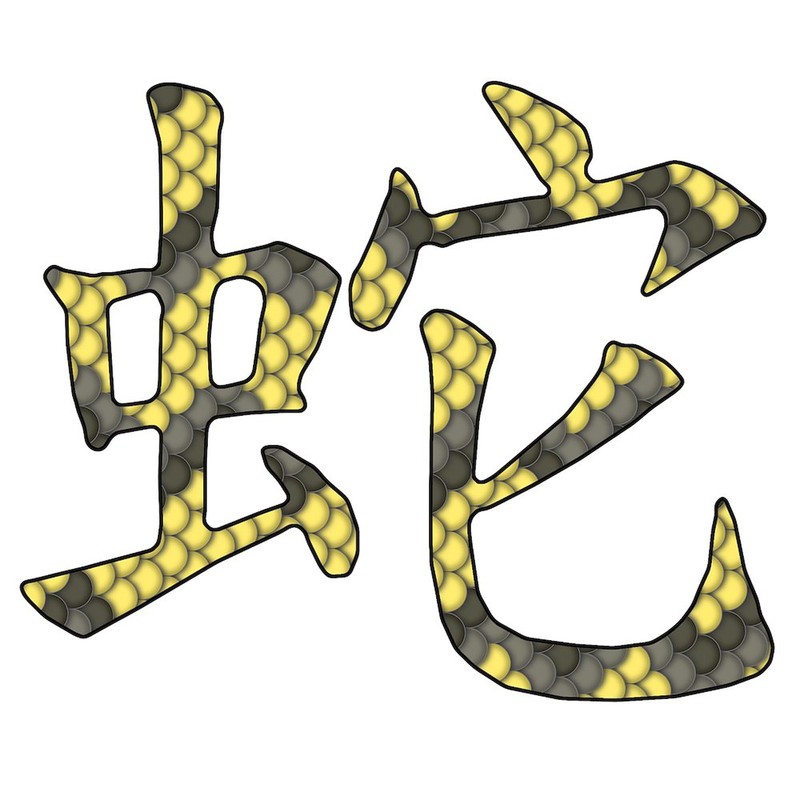 CafePress Black & Yellow Snake Chinese Character Keepsake Bo Memory