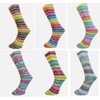 Ferner Mally Socks Wool with Merino Wool, Sock Wool Rainbow