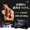 SAURUS(サウルス) アミノローディングサウルス BCAA グルタミン アルギニン シトルリン クレアチン タウリン クエン ヨーグルト味