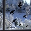Lexziuo 30PCS Bird Anti-Collision Window Stickers - Large UV Reflective
