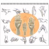 Wooden Drawing Hand Model Hand Mannequin Display with Reference Drawing