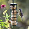 dobar 24081 Bird Feeder Including Four Fat Balls Refillable Wild