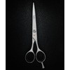SANDBROS 7 INCH Professional Hairdressing Scissors Barber Hair Cutting Salon