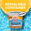 ARM & HAMMER Clear Balance Swimming Pool Alkalinity pH Maintenance