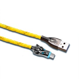 YAKUNN 6.6FT RGB Totem Designed Colorful Glowing USB Type C Fast Charging Cable,Data Transfer,RGB Gradual LED A to C Cord,66W/6A Ultra-Durable Charging Wire,Compatible with Android USB-C Devices(DAYL)