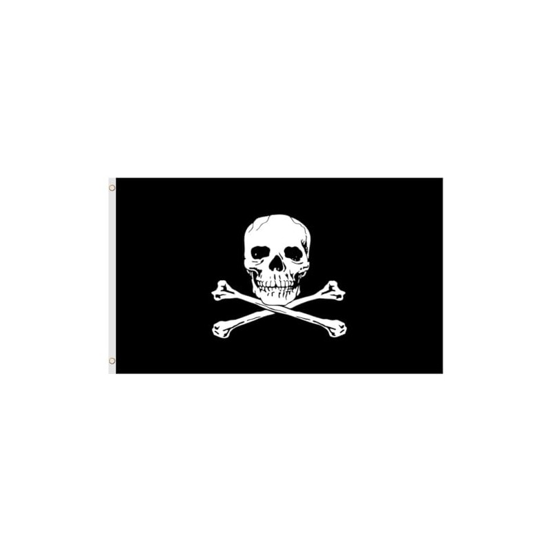 Second Ave Pirate Flag 5ft X 3ft Large with Brass