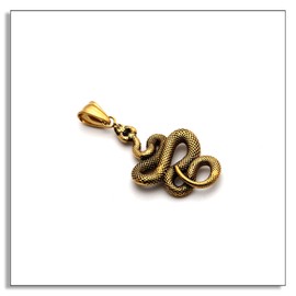 Heavstjer Punk Jewelry Animal Snake Pendant Cool Necklace(Gold)